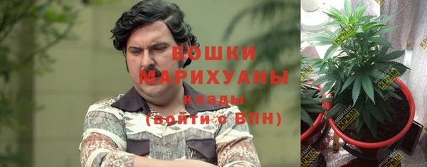 крисы Медвежьегорск