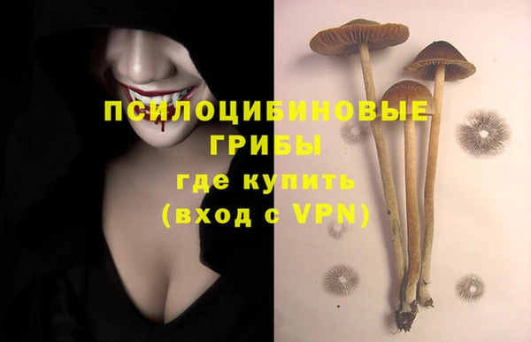 крисы Медвежьегорск