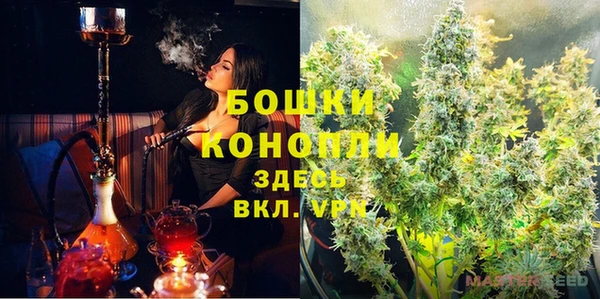 крисы Медвежьегорск