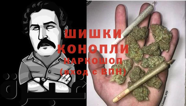 крисы Медвежьегорск